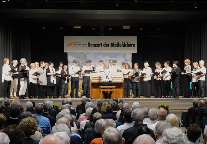 Volles Haus und begeistertes Publikum Insgesamt acht Chöre konnten für das Konzert gewonnen werden. Foto: privat