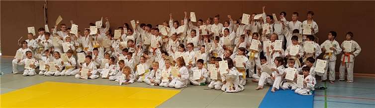 Insgesamt nahmen rund 100 Kinder an der Veranstaltung teil. Vier Judoka des TV Cochem gingen an den Start. Fotos: privat