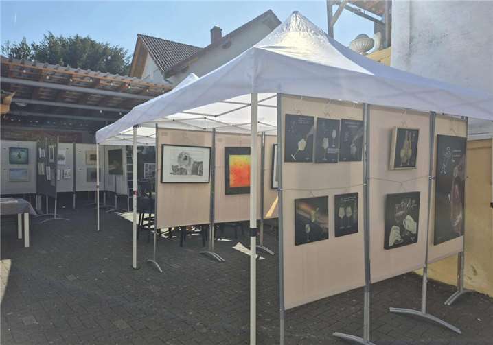 Insgesamt wurden Werke von fünf Künstlerinnen und Künstler präsentiert. Foto: privat