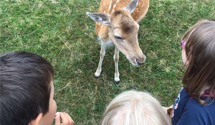 Interessant und lehrreich war der Besuch bei den Tieren.