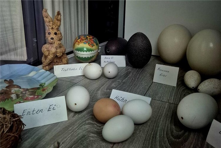 Interessante Austellung am Ostersonntag