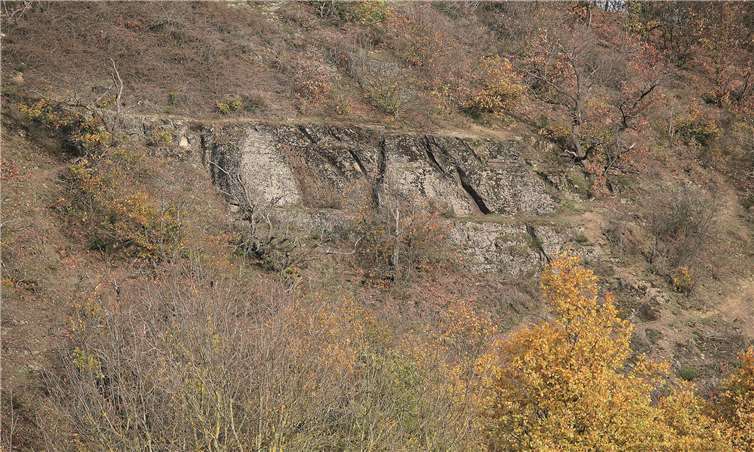 Interessanter Hang am Währsberg.Fotos: Gerd Otto