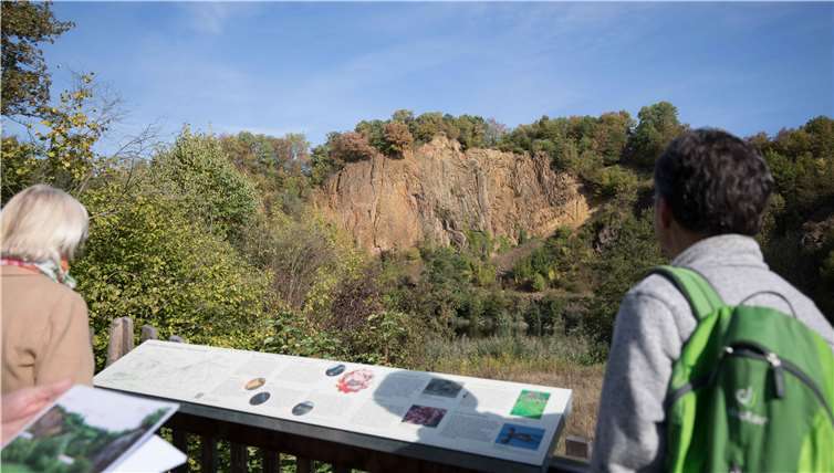 Interessiert betrachteten die Besucher die Felswand desDächelsbergs im Geotop, das große Zeiträume derErdentstehung abbildet und gleichzeitig seltenenPflanzen und Tieren ein Zuhause bietet.