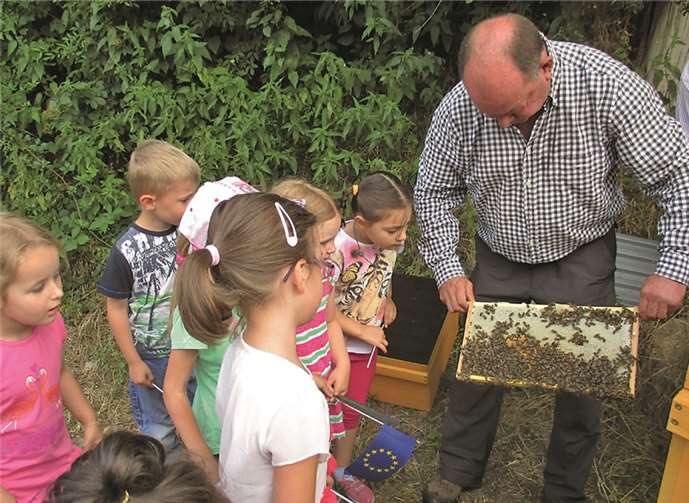 Interessiert betrachteten die Kinder das Treiben in einem Bienenstock.privat