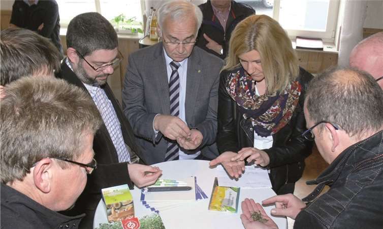 Interessiert überprüfen die Projektbeteiligten das neue Saatgut der Silphie. Bisher mussten die Felder immer mit vorkultivierten Jungpflänzchen bestückt werden