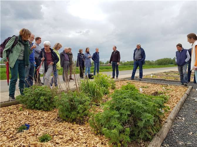 Interessierte folgten der Einladung zur Führung über die Versuchsflächen des Campus Klein-Altendorf.  Foto: BUND-Arbeitskreis Voreifel