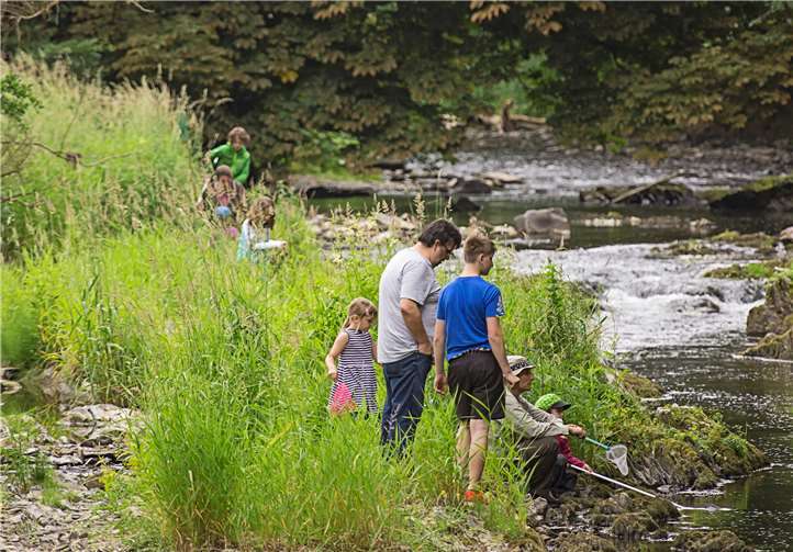 Inventur der heimischen Flora und Fauna. Rea Brinkhoff