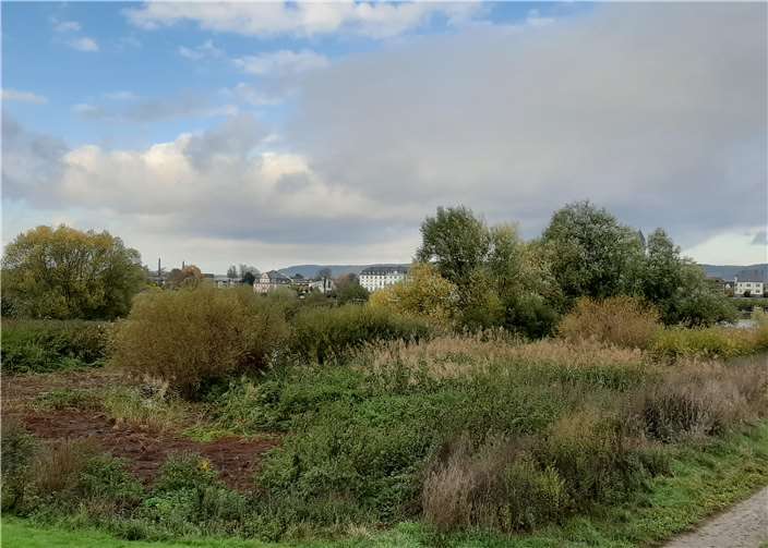 Inzwischen bietet sich ein Bild, dass sowohl von den Anwohnern als auch von der Gemeindeverwaltung immer wieder bemängelt wird.Foto: privat