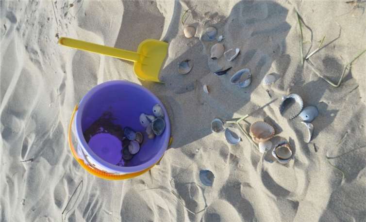 Ist spielen schon Bildung?