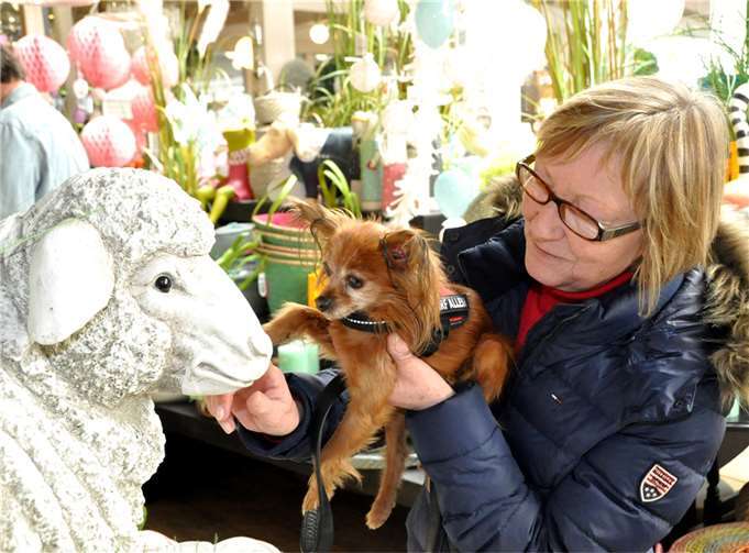 Ja, wer bist Du denn?