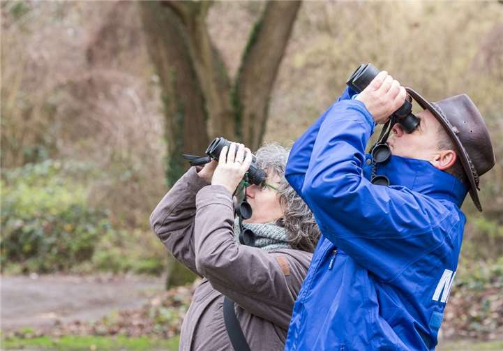 Ja, wo fliegen sie denn? Die NABU-Mitglieder Jens Woitol und Marianne Theis-Prodöhl beim Beobachten des Himmels.NABU/Andreas Sebald