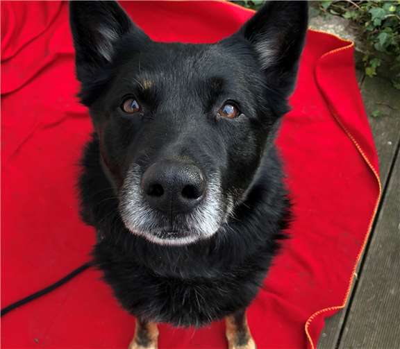 Jackman. Foto: privat