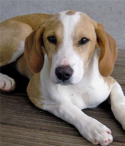 Jade hat noch vier Geschwister.  Privat