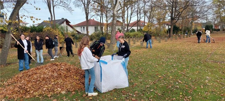 Jährlich lädt der Verein Partnerschaft des Friedens Rheinbach/Douaumont-Vaux vor dem Volkstrauertag zur Säuberungsaktion auf der Rheinbacher Kriegsgräberstätte ein. Foto: privat