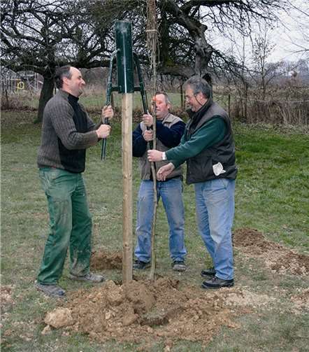 Jagdvorsteher Werner Stenz (Bildmitte) und sein Vorstandskollege Rainer Felten (links) pflanzten jetzt gemeinsam mit Ortsbürgermeister Hans Dieter Felten die letzten Ausgleichsbäume auf der gemeindeeigenen Streuobstwiese. WK