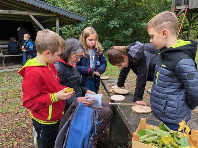 Jahresringe zählen. Fotos: Peter Ahrens