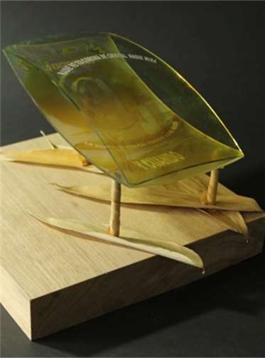 Jakobine-von-Dömming.