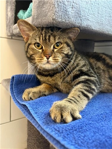 Jan-Hendrik. Foto: Kristina Wagner