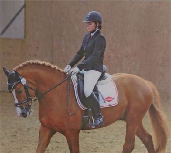 Janine Schönenstein auf ihrem Freiberger Hengst Moritz.