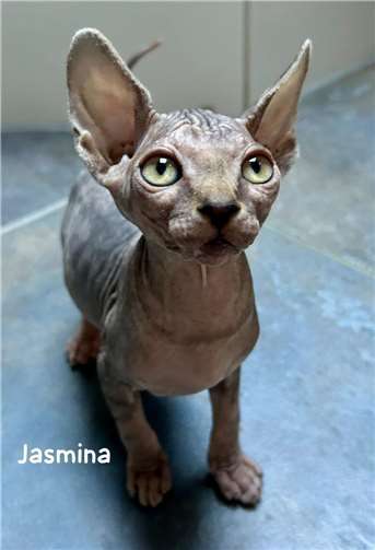 Jasmina. Foto: privat