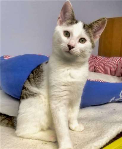 Jasper ist 4,5 Monate alt. Foto: privat