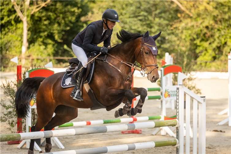 Jeanette Schneider-Corbeek vom RV Im Heidentak siegte mit Harry SSB. Foto: privat
