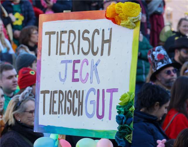 Jecke Karnevalisten am 02.03.2025 beim Karnevalszug auf den Straßen in Meckenhei...