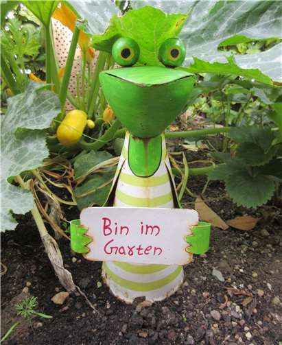 Jeder Garten, Balkon oder Hof kann die Stadt etwas farbenfroher machen.Foto: privat