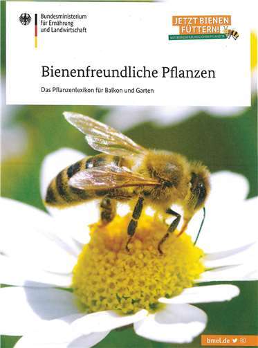 Jetzt Bienen füttern! - Wertvolle Tipps und Hinweise, welche Pflanzen dafür am besten geeignet sind, enthält die Broschüre „Bienenfreundliche Pflanzen“ des Bundeslandwirtschaftsministeriums.Foto: Bundesministerium für Ernährung und Landwirtschaft (BMEL), Berlin - Alekss/Adobe Stock