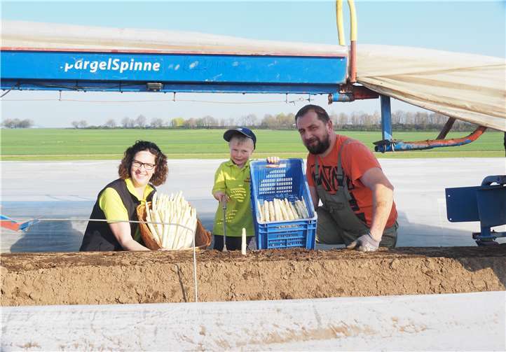Jetzt gibt es endlich wieder den lang ersehnten feldfrischen Spargel. Fotos: Adams