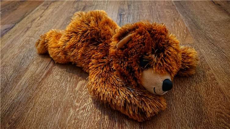 Jetzt ist Teddy wieder fit! Foto: Christoph Steinborn