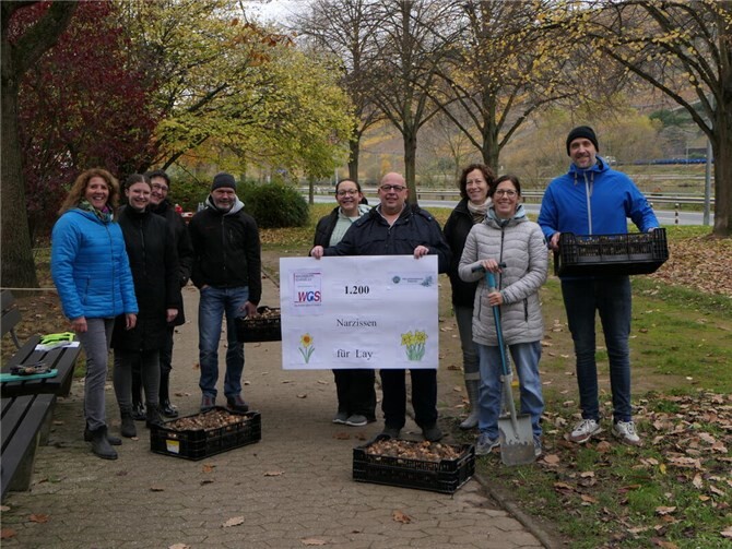 Jetzt können alle gespannt sein, ob im Frühjahr ein Blumenmeer die Layer Moselfront erstrahlen lässt. Foto: privat