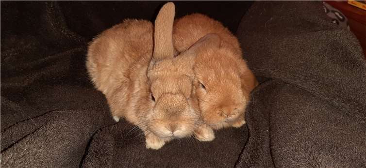 Jo und Li. Fotos: privat