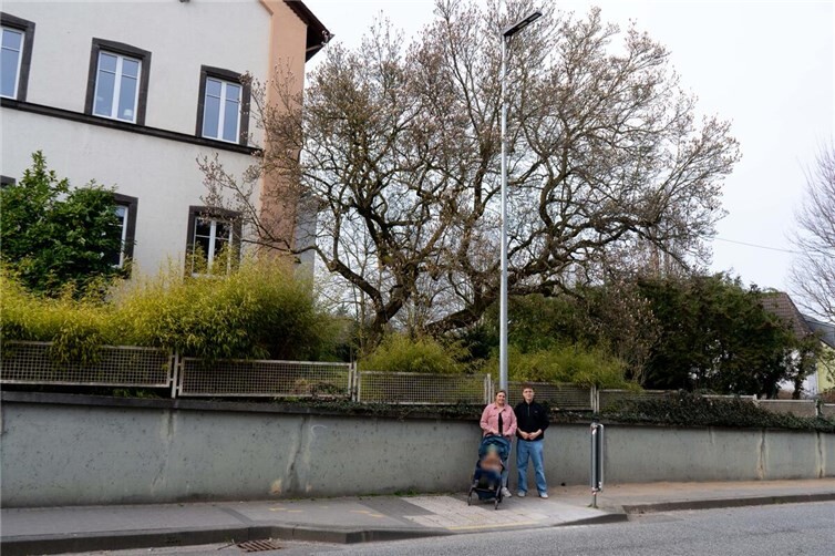 Johanna Manns, Stellvertretende Vorsitzende/Ratsmitglied, Nick Quint, Stellvertretender Vorsitzender.
