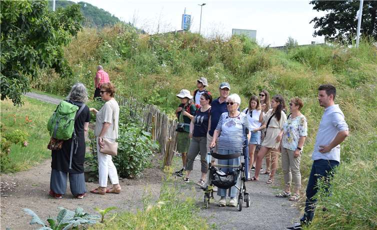 Johannes Mader, Sachgebietsleiter Umwelt und Nachhaltigkeit der Stadt Andernach führte die interessierten Besucher durch die „Essbare Stadt“ Fotos: UBU