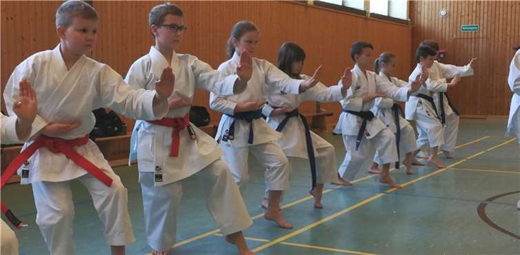 Jonas Schiefelbein, Gina Haucke und Lena Ehgartner sind im Landeskader Kata. Foto: privat