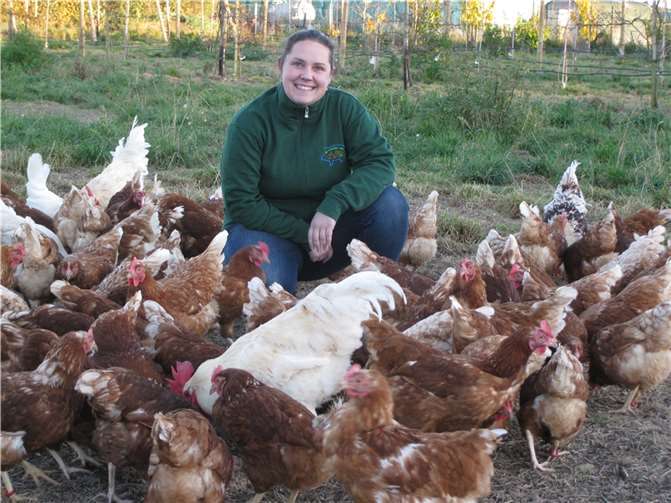 Judith Bollig und ihre „glücklichen Hühner“ auf dem Wittfelder Hof.Foto: privat