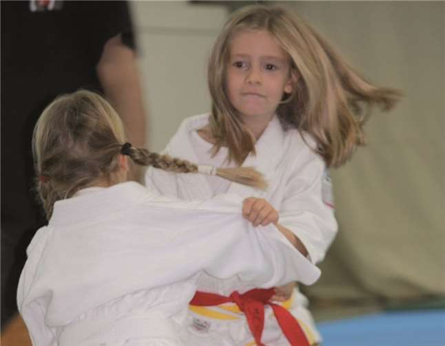 Judo vermittelt viel mehr als nur bestimmte Griff- und Wurftechniken. privat