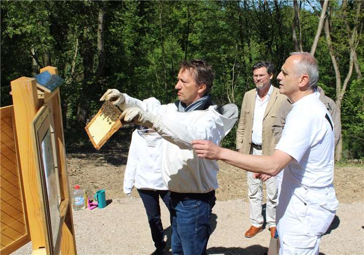 Jürgen Hemmers (links) und Imker Andreas Schneider beim Einlegen eines Bienenvolks.