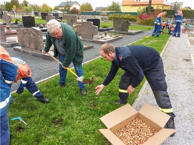 Jugendwart Marvin Schmitt (rechts) von der Feuerwehr Nentershausen und Imker Klaus Eidt (links) sorgten gemeinsam mit der Jugendfeuerwehr dafür, dass 2000, vom Imkerverein Hadamar-Dornburg gespendete Krokusse auf dem Friedhof in Nentershausen gepflanzt wurden.