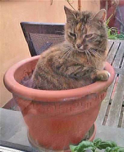 Juli verbringt die Zeit gerne in der freien Natur.privat