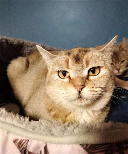 Julie. Fotos: privat