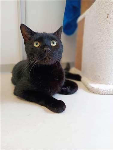 Julio. Fotos: privat