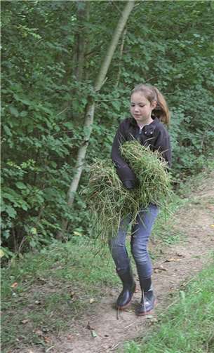 Jung und Alt packen gemeinsam kräftig mit an.