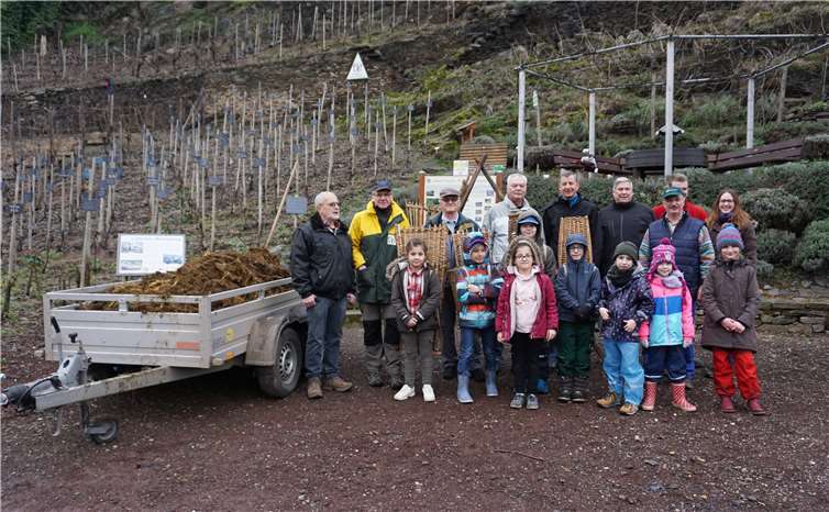 Jung und Alt waren bereit, den kostbaren Dünger in den Weinberg zu tragen. Fotos EP