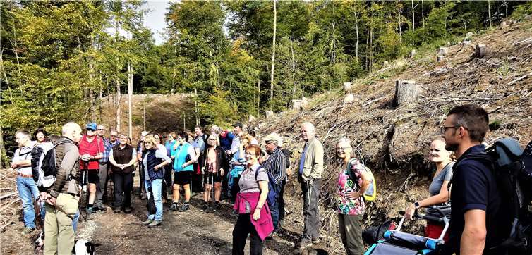 Junge Familien noch besser einbeziehen will der Westerwald-Verein im Buchfinkenland.Foto: WWV