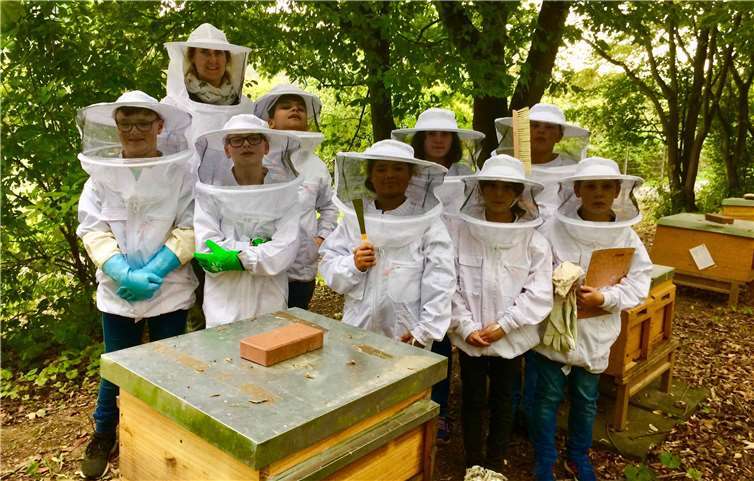 Junge Imker der IGS Remagen mit Biologielehrerin Michaela Lohmer an den Bienenstöcken.Foto: Miriam Mertes