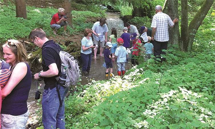 Junge Naturforscher erkundeten die Unterwasserwelt des Iserbachs. privat