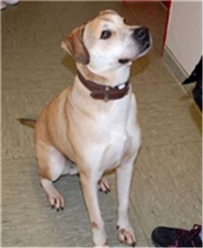 Justin ist circa vier Jahre alt. privat