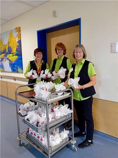 Jutta Wilke, Rosel Röhrig und Christiane Miller verteilten die selbst gebastelten Gänse am Standort Dierdorf.  Foto: Ann-Katrin Ohrem, Evang. Krankenhaus Dierdorf/Selters
